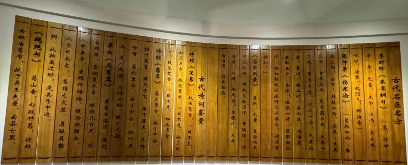 1756276258712284.jpg 竹簡.jpg