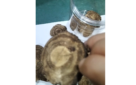 4 個(gè)細(xì)節(jié)識破假葛根：野生葛根片的形態(tài)密碼與鑒別指南